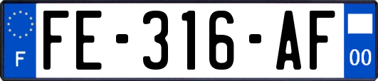 FE-316-AF