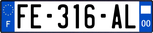 FE-316-AL