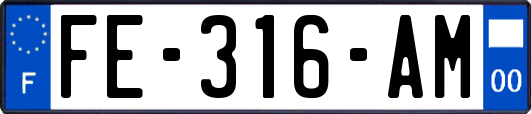 FE-316-AM