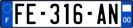 FE-316-AN