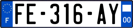 FE-316-AY