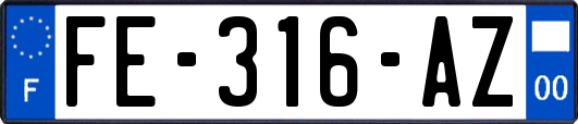FE-316-AZ