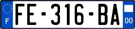 FE-316-BA