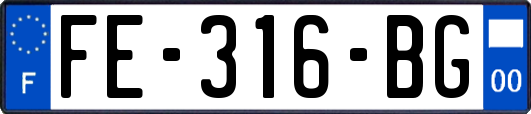FE-316-BG
