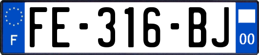 FE-316-BJ