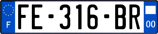 FE-316-BR