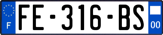 FE-316-BS