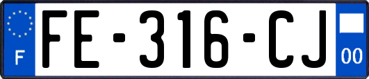 FE-316-CJ