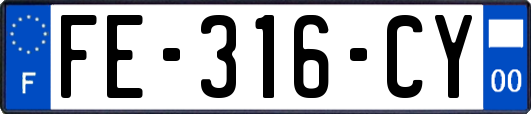 FE-316-CY