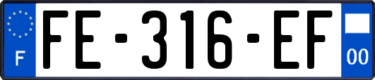 FE-316-EF