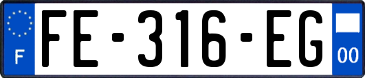 FE-316-EG