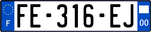 FE-316-EJ
