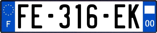 FE-316-EK