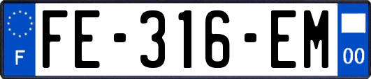 FE-316-EM