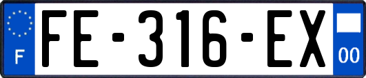 FE-316-EX