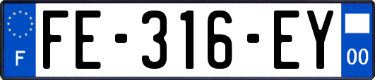 FE-316-EY