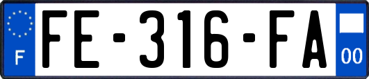 FE-316-FA