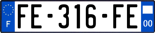 FE-316-FE