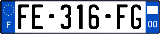 FE-316-FG