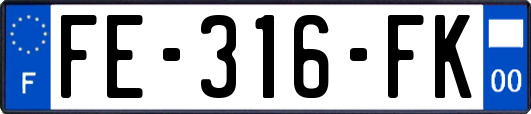 FE-316-FK