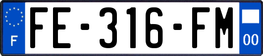 FE-316-FM