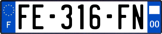 FE-316-FN