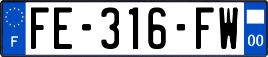FE-316-FW