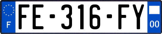 FE-316-FY