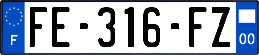 FE-316-FZ