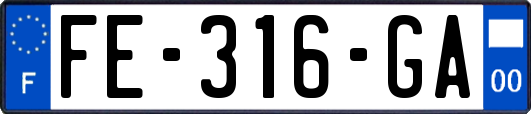 FE-316-GA