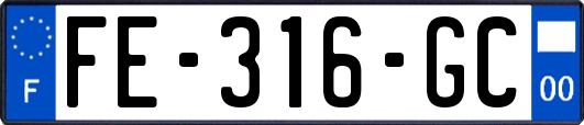 FE-316-GC