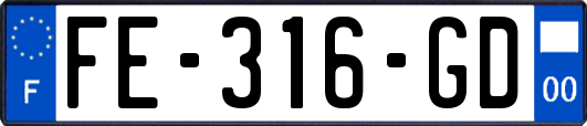 FE-316-GD