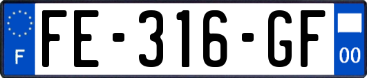 FE-316-GF
