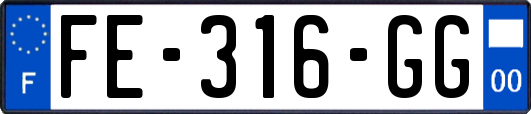 FE-316-GG