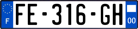 FE-316-GH