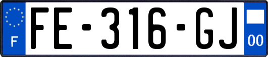 FE-316-GJ