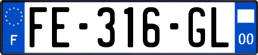 FE-316-GL