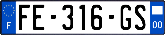 FE-316-GS