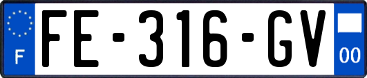 FE-316-GV