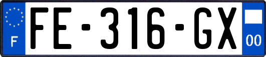 FE-316-GX