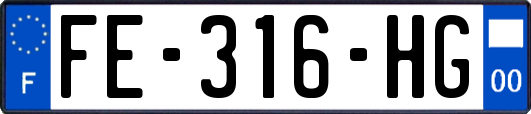 FE-316-HG