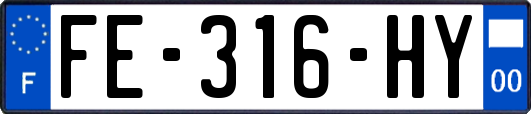 FE-316-HY