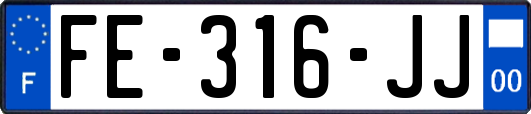 FE-316-JJ