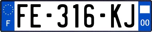FE-316-KJ