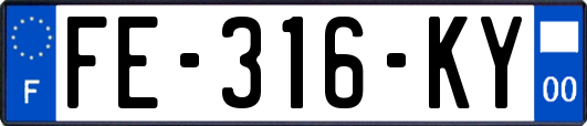 FE-316-KY