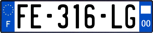 FE-316-LG