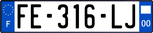FE-316-LJ