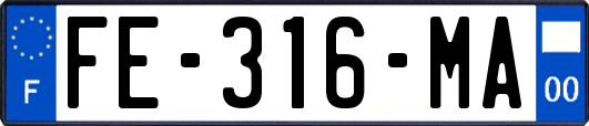 FE-316-MA