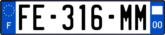 FE-316-MM