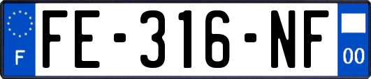 FE-316-NF